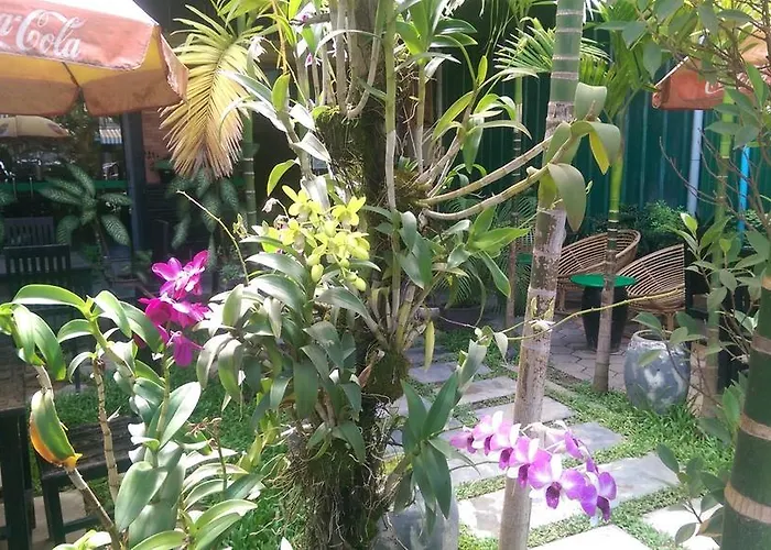 Siem Reap Green Home Guesthouse Pensjonat